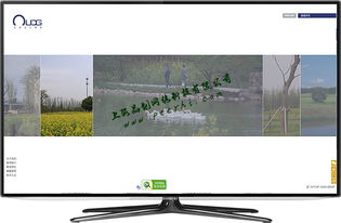 松江網站建設 如何打造引人入勝的商品圖相冊提升用戶體驗